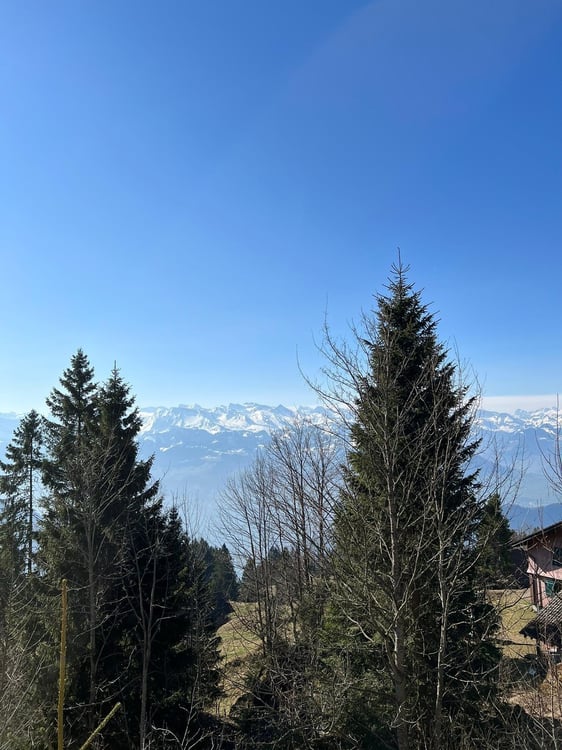 BERGWOHNUNG - Ferienwohnung auf Rigi-Kaltbad 8