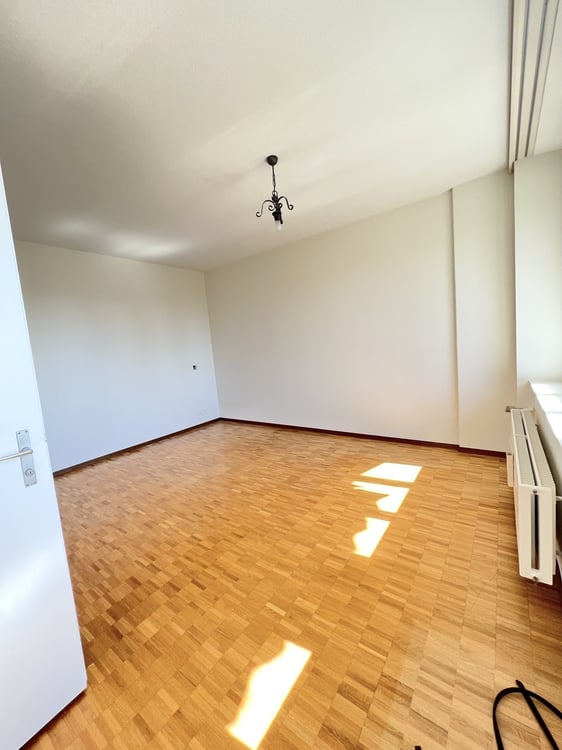 BERGWOHNUNG - Ferienwohnung auf Rigi-Kaltbad 5