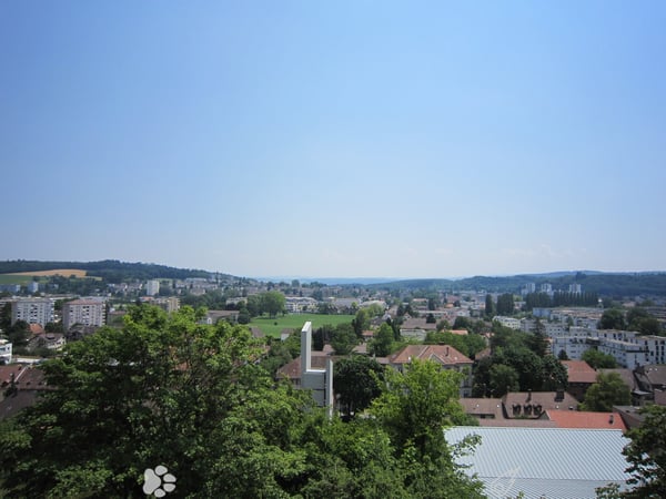 4.5-Zimmer-Attikawohnung mit Panoramablick in Biel 3