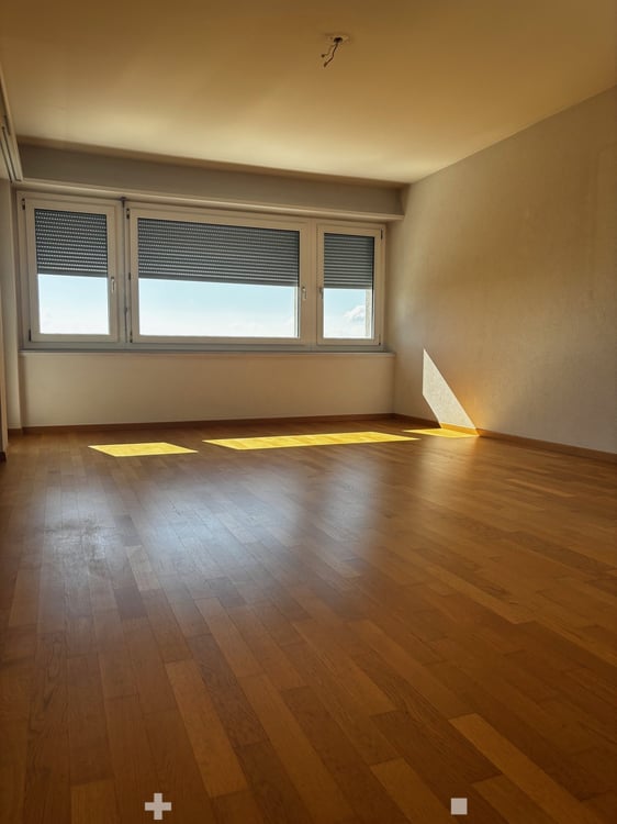3.5-Zimmer-Attikawohnung mit Panoramablick in Biel 7