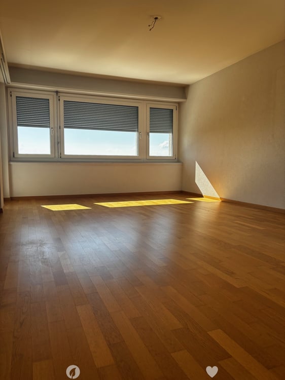 3.5-Zimmer-Attikawohnung mit Panoramablick in Biel 7
