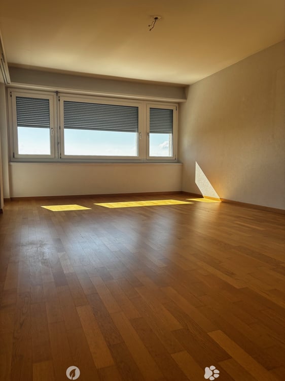 3.5-Zimmer-Attikawohnung mit Panoramablick in Biel 7
