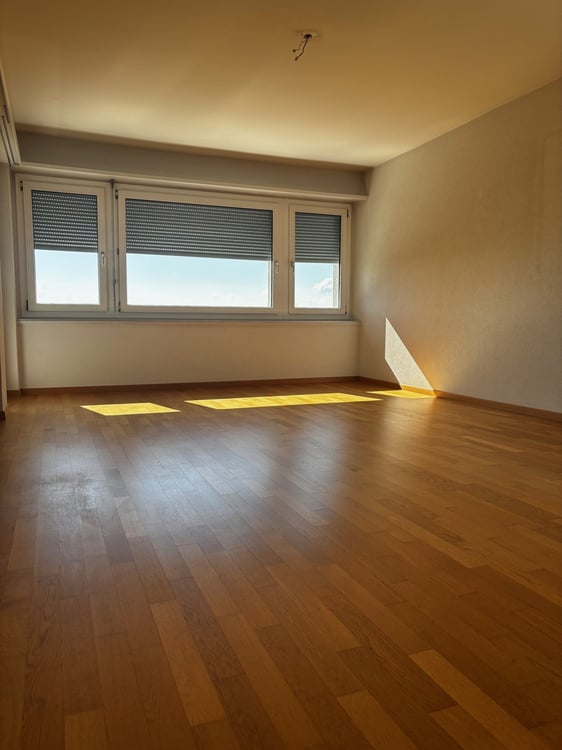 3.5-Zimmer-Attikawohnung mit Panoramablick in Biel 7