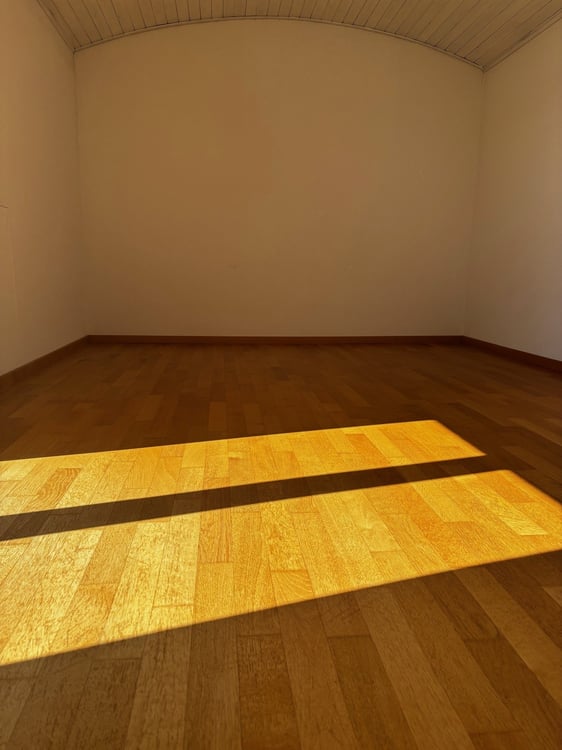 3.5-Zimmer-Attikawohnung mit Panoramablick in Biel 13