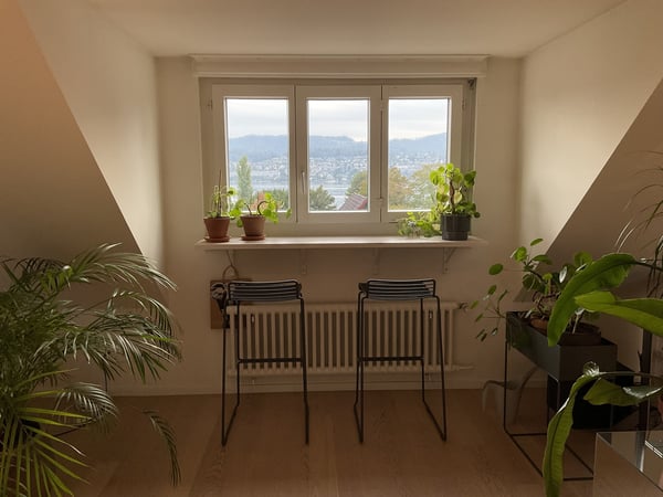 Wohnen am Zürichsee  ruhig, klar, verbunden 5