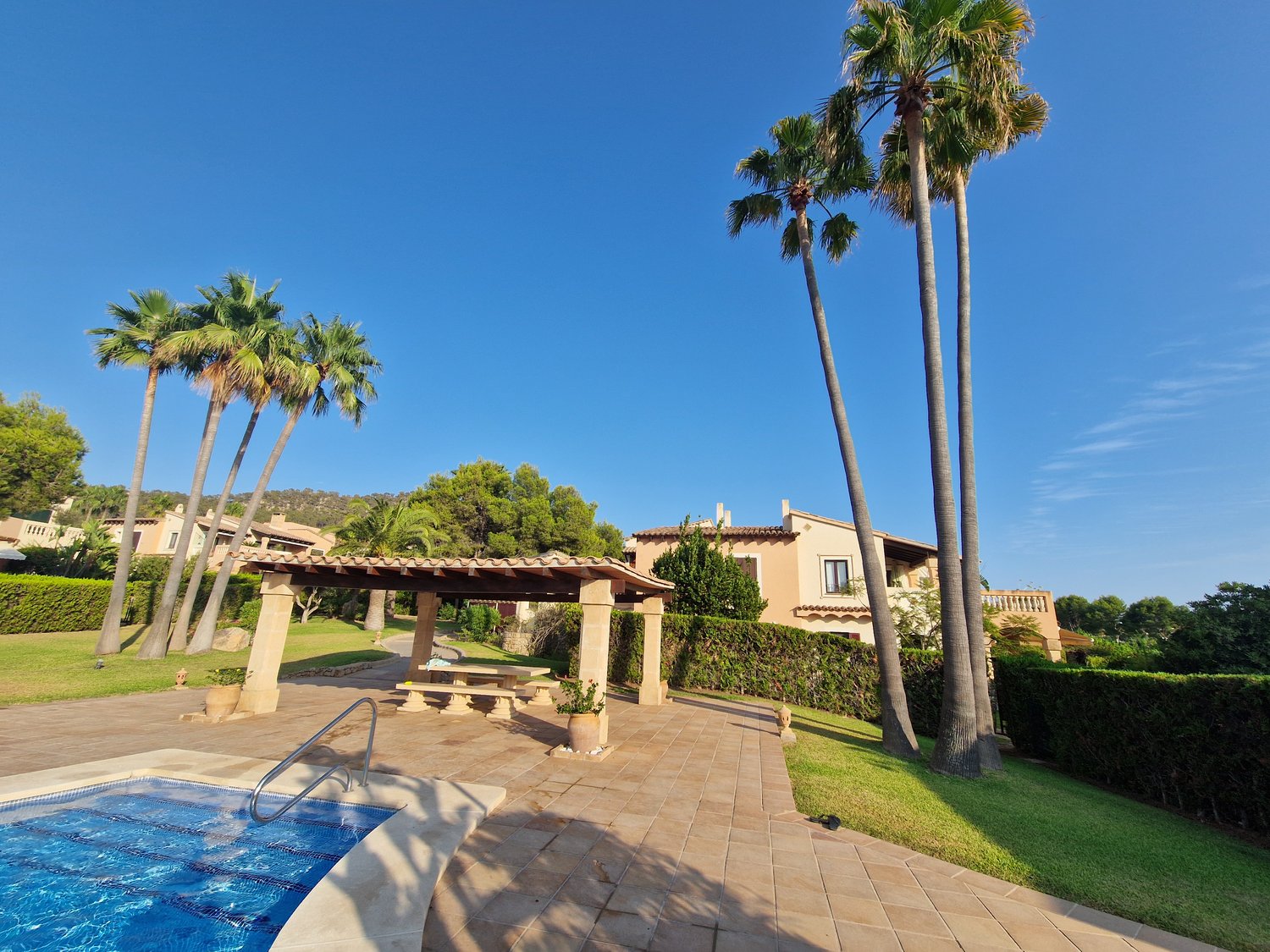 Outdoor swimming pool, palm trees, wooden pergola, bench, garden house, grassy lawn, manicured hedges