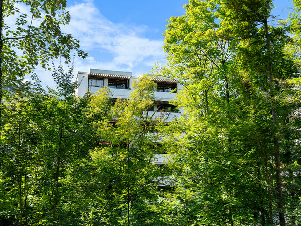 Moderne Stadtwohnung, urban und grün 1