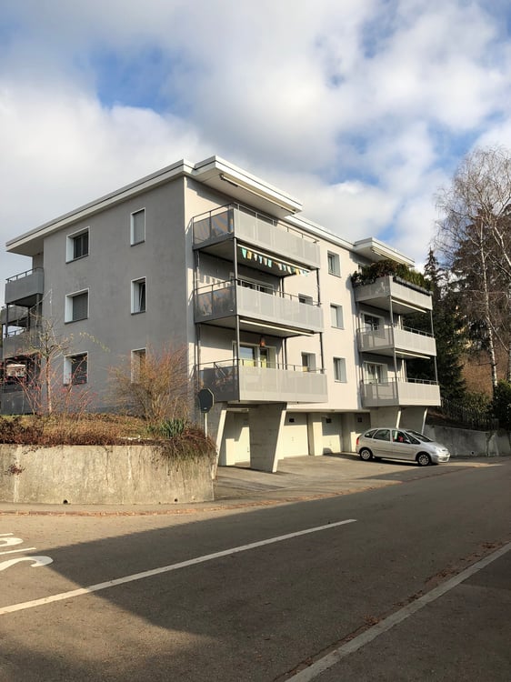 Renovierte 1-Zimmer-Wohnung mit Balkon und Garage in Winterthur 1