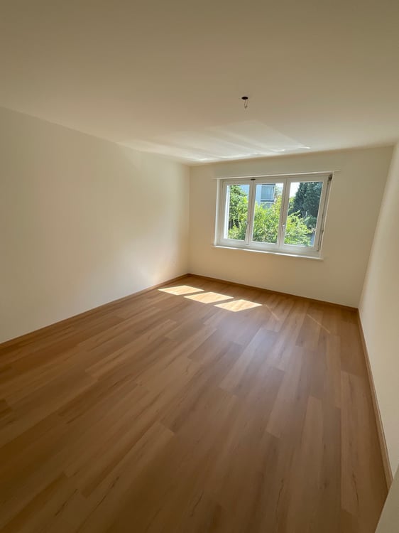 Frisch renovierte, 4- Zimmerwohnung 2
