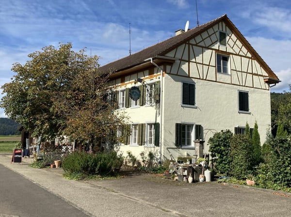 Gewerbe- und Wohnliegenschaft mit vielen Möglichkeiten