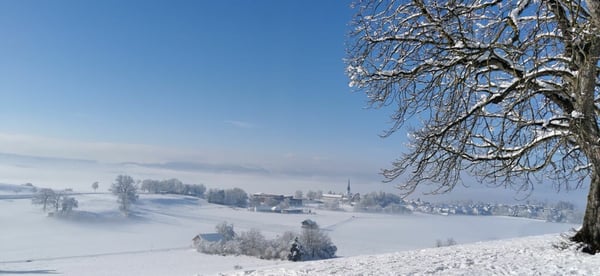 Viel Raum - Sonnig - Naturnah 12