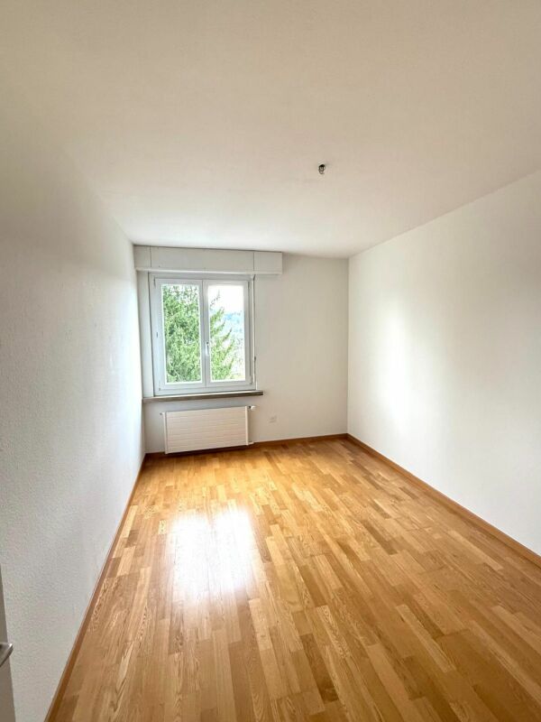 Schöne 4.5-Zimmer-Attika-Wohnung