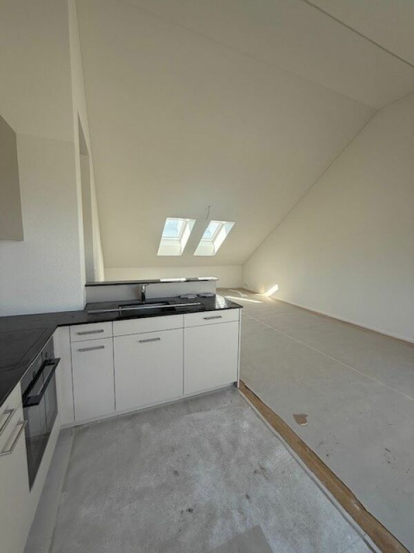 Traumhafte 2.5-Zimmer-Attika-Wohnungen mit Seesicht!