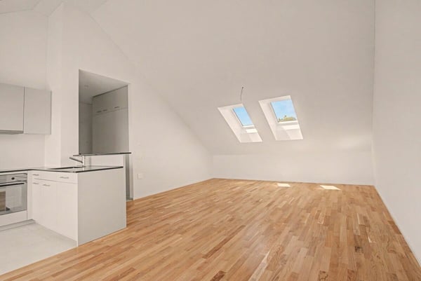 Letzte Attika-Wohnung zu vermieten! 3