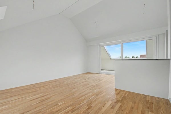 Letzte Attika-Wohnung zu vermieten! 4
