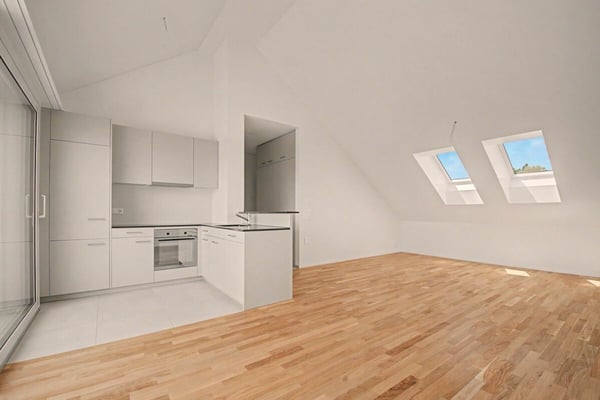 Letzte Attika-Wohnung zu vermieten!