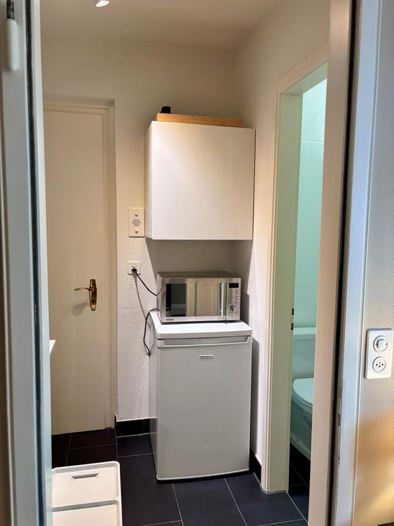Möblierte 1-Zimmer-Wohnung am Zürichberg 8