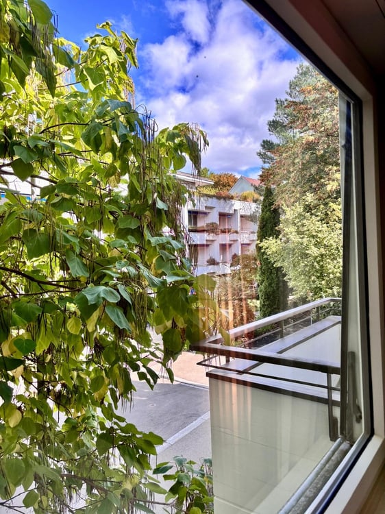 Möblierte 1-Zimmer-Wohnung am Zürichberg 11