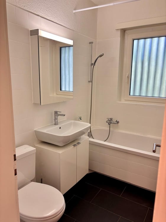 Möblierte 1-Zimmer-Wohnung am Zürichberg 9