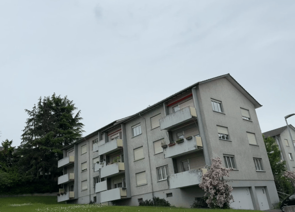 Frisch sanierte 3.0-Zimmerwohnung im ruhigen Quartier zu mieten! 7