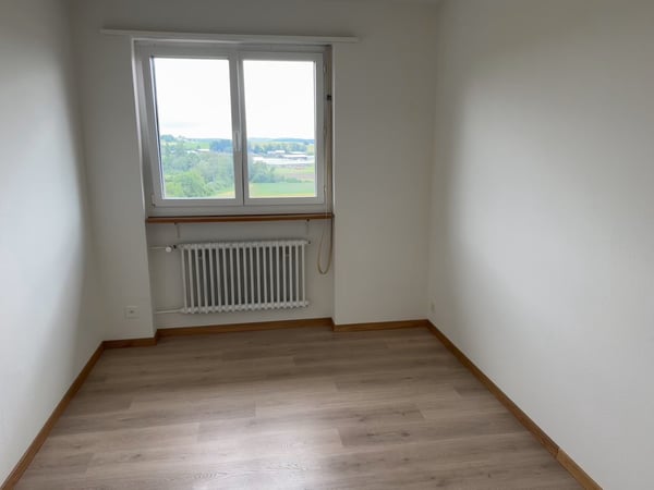 Frisch sanierte, helle und grosse Wohnung in ruhigem Quartier 12