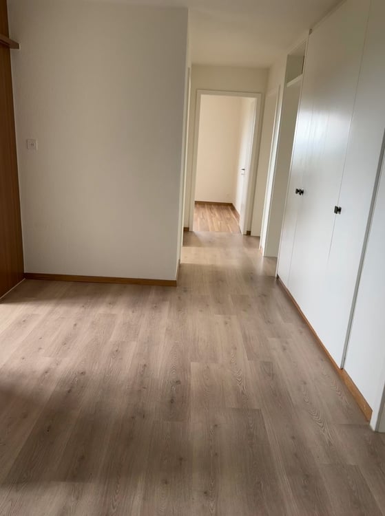 Frisch sanierte, helle und grosse Wohnung in ruhigem Quartier 5