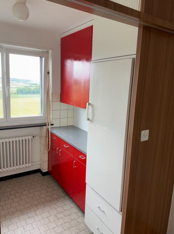 Frisch sanierte, helle und grosse Wohnung in ruhigem Quartier 6