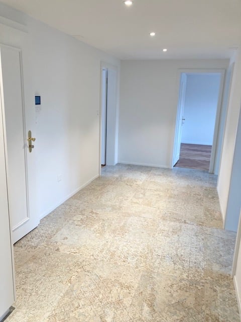 Luxeriöse sanierte 4,5 Zimmer Altbau Wohnung mit Balkon im Zentrum von Herisau 3
