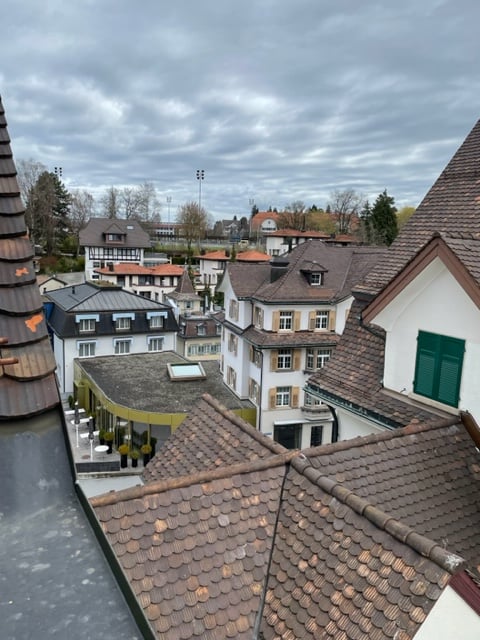 Luxeriöse sanierte 4,5 Zimmer Altbau Wohnung mit Balkon im Zentrum von Herisau 10