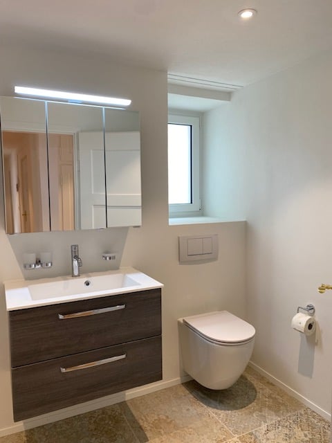 Luxeriöse sanierte 5,5 Zimmer Altbau Wohnung mit Balkon im Zentrum von Herisau 5