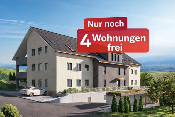 Gansingen