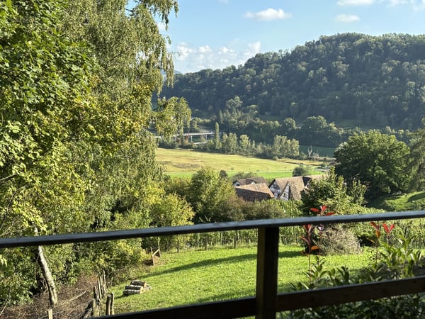 Charmantes 1.5-Zimmer-EFH mit viel Umschwung und Rheinblick 6