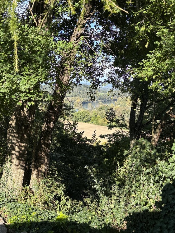 Charmantes 1.5-Zimmer-EFH mit viel Umschwung und Rheinblick 5