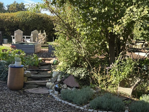 Charmantes 1.5-Zimmer-EFH mit viel Umschwung und Rheinblick 4