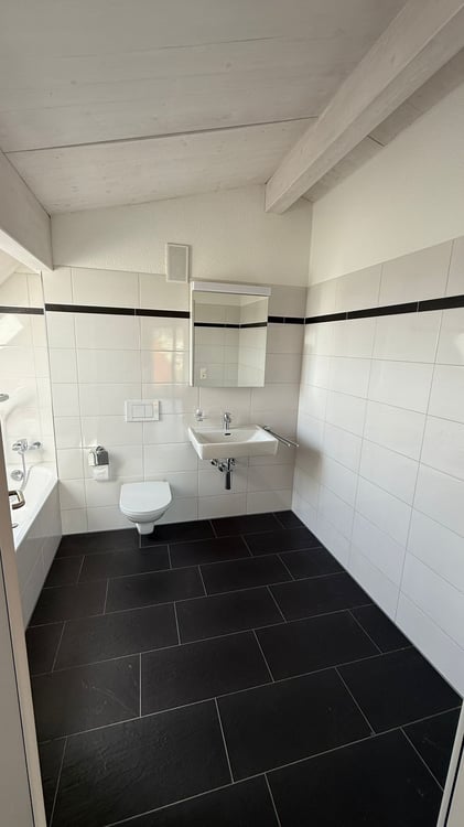 Luxuriöse 3 1/2 Minergie Maisonette Dach-Wohnung mit atemberaubende Aussicht und Balkon 12