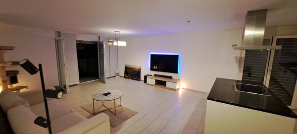 Luxuriöse 3 1/2 Minergie Maisonette Dach-Wohnung mit atemberaubende Aussicht und Balkon 8