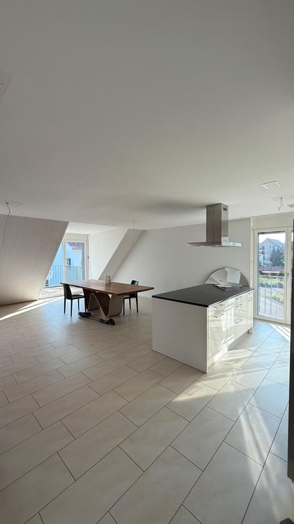Luxuriöse 3 1/2 Minergie Maisonette Dach-Wohnung mit atemberaubende Aussicht und Balkon 4