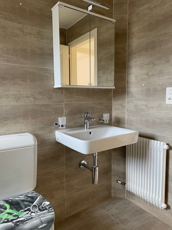 👑 3‑Zimmer-Residenz in Wünnewil-Flamatt – eine Geschichte von Licht, Ruhe und Lebensqualität 3