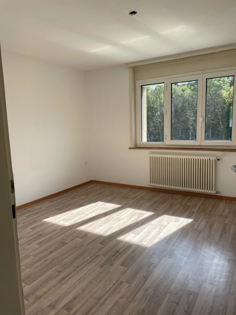 👑 3‑Zimmer-Residenz in Wünnewil-Flamatt – eine Geschichte von Licht, Ruhe und Lebensqualität 9