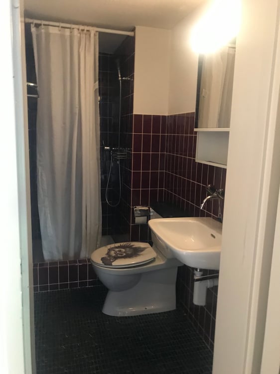 gemütliche 1-Zimmer-Wohnung im Osten der Stadt St. Gallen 5