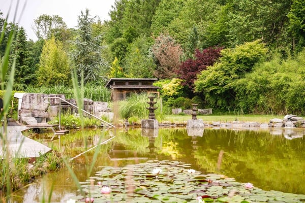 Exklusives 1.5-Zimmer-Anwesen an erhöhter Hanglage 4