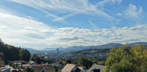 Exklusives 1.5-Zimmer-Anwesen an erhöhter Hanglage 5