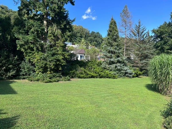 Freistehendes Einfamilienhaus mit parkähnlichem Garten zu vermieten 3