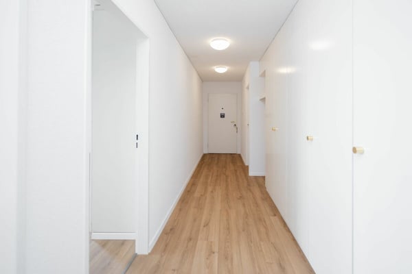 Attikawohnung mit privater Sauna in Aarau 8