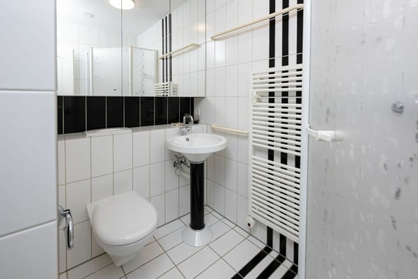 Attikawohnung mit privater Sauna in Aarau 9