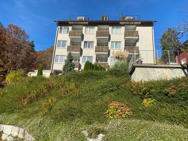 Charmante 1-Zimmerwohnung mit Seeblick in Gersau 4