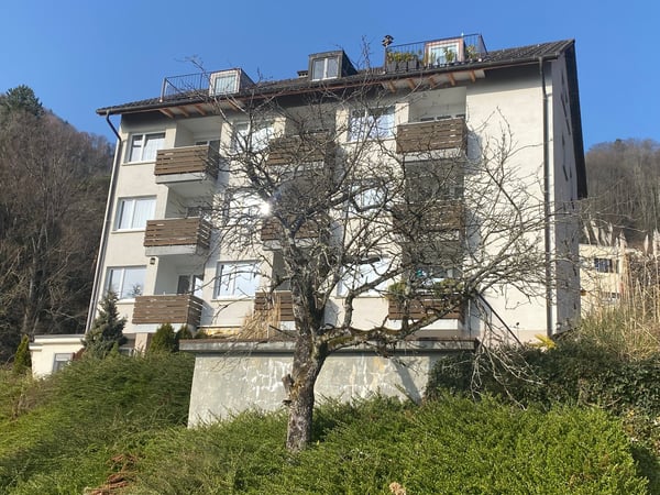 Charmante 1-Zimmerwohnung mit Seeblick in Gersau 2