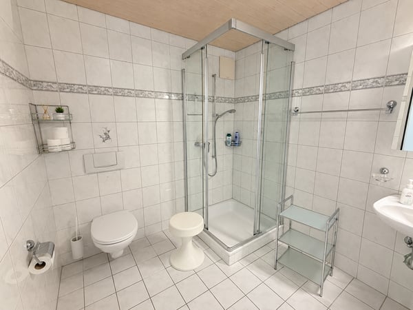 Charmante 5.5-Zimmer-Dachwohnung mit Bergpanorama in Schattdorf 20