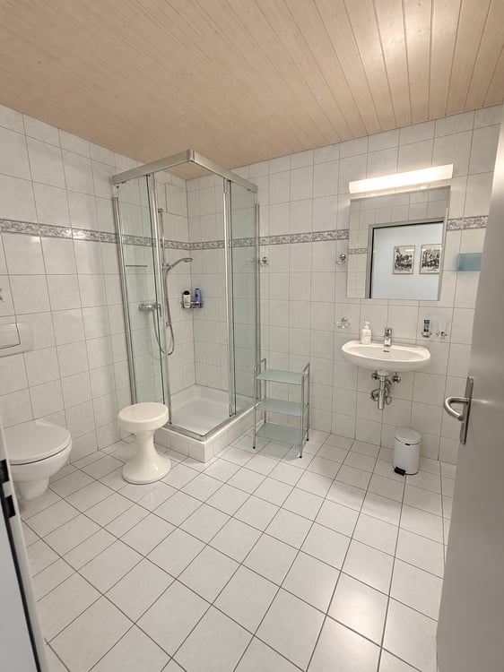 Charmante 5.5-Zimmer-Dachwohnung mit Bergpanorama in Schattdorf 19