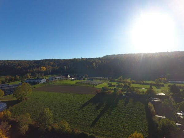 Familienfreundliches Reihenmittelhaus in Zürich-Schwamendingen 9